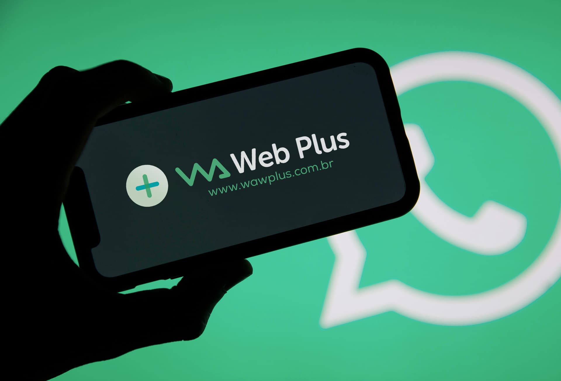 Image of Wa Web Plus Image of Wa Web Plus